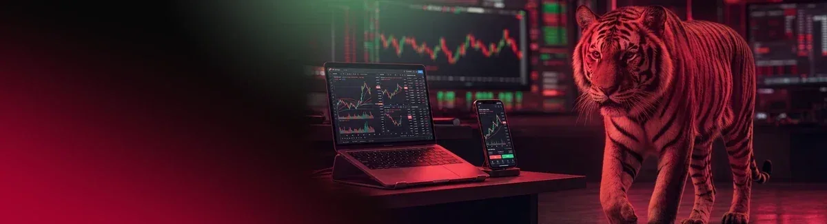 Tickmill — Imagem dos produtos e serviços do site oficial